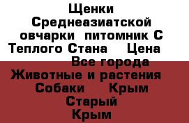 Щенки Среднеазиатской овчарки (питомник С Теплого Стана) › Цена ­ 20 000 - Все города Животные и растения » Собаки   . Крым,Старый Крым